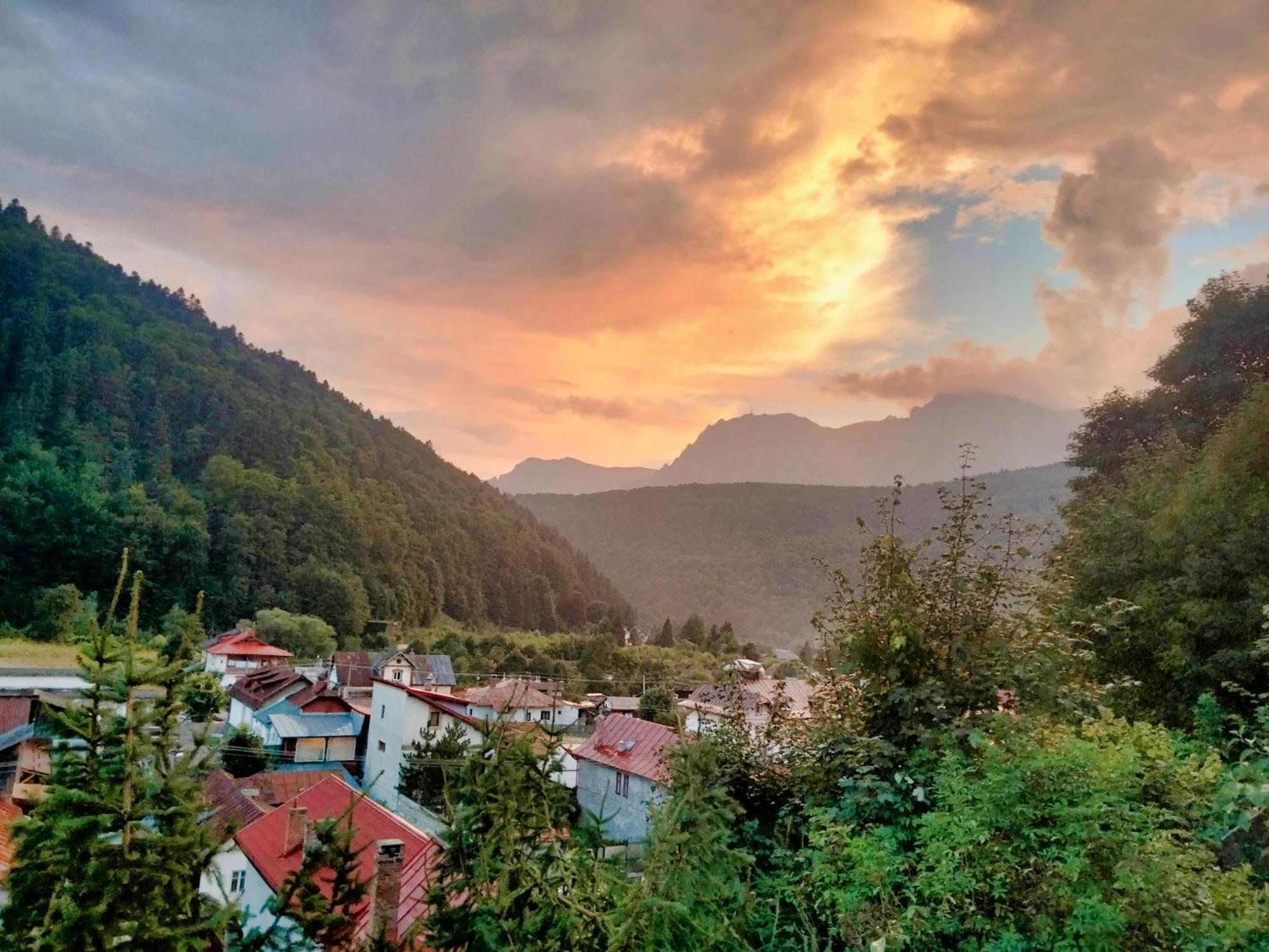 Doi Iepuri Διαμέρισμα Azuga Εξωτερικό φωτογραφία